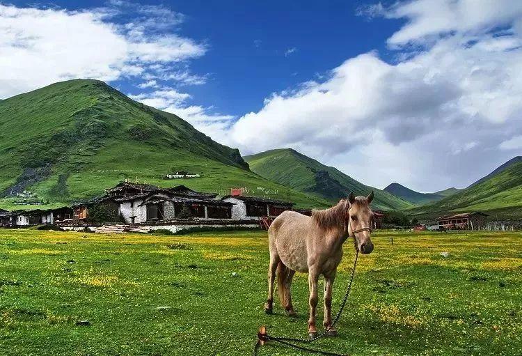 新春走基层|看村晚、赶年集、送对联 滨城区秦皇台乡系列文化活动点燃乡村“年味”